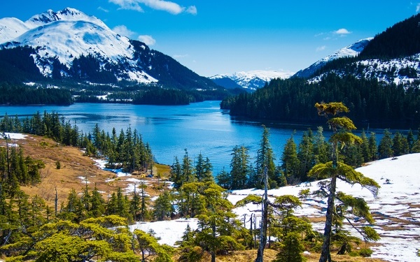 Alaska Cruises