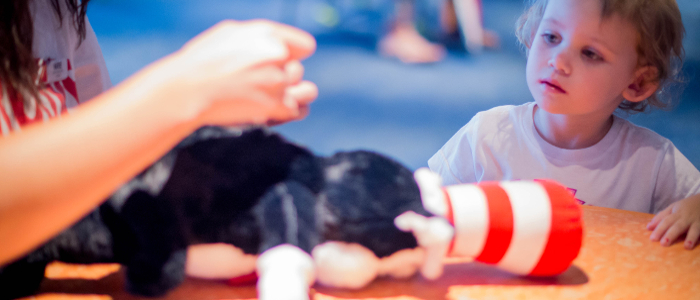 build a bear