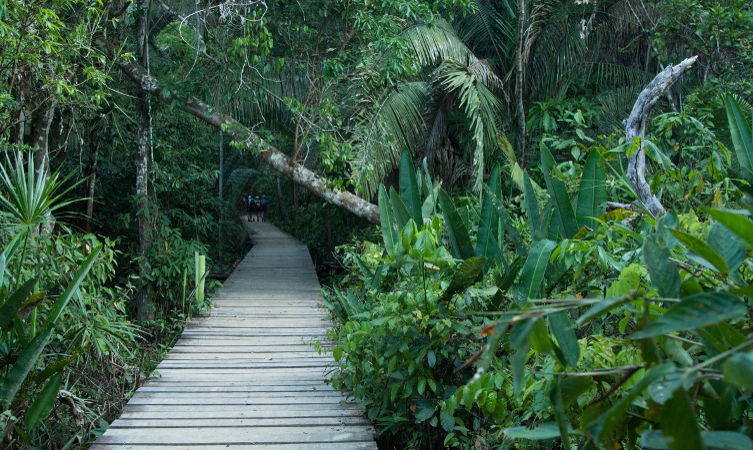 View the “Meeting of the Waters” in Santarem, Brazil - Princess Cruises