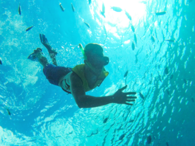 Shore Excursions